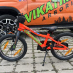 jalgratta rent vikatimees