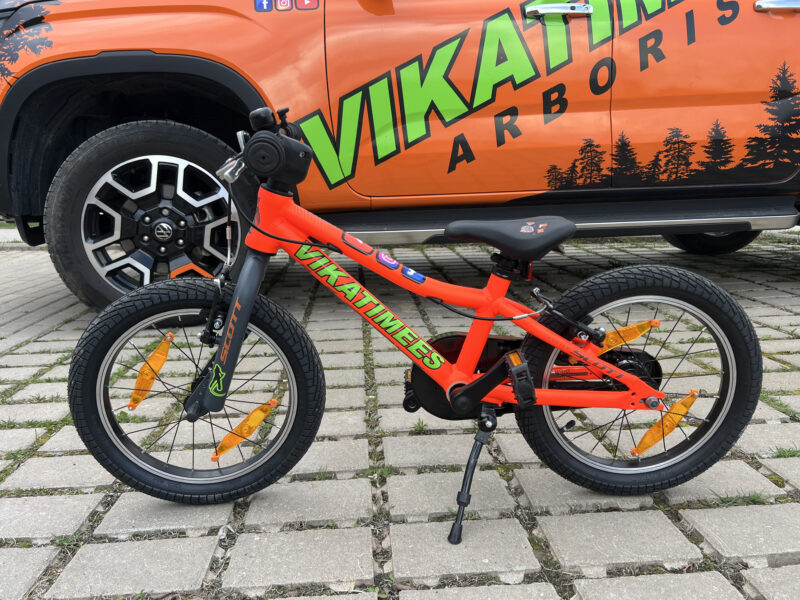 jalgratta rent vikatimees