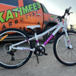 jalgratta rent tartus vikatimees