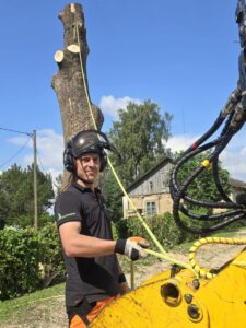 Vikatimees OÜ arborist Andres Põldre ohtlike puude langetamine