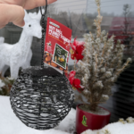 vikatimees horticom söötja pähklitele ja seemnetele. linnutoit