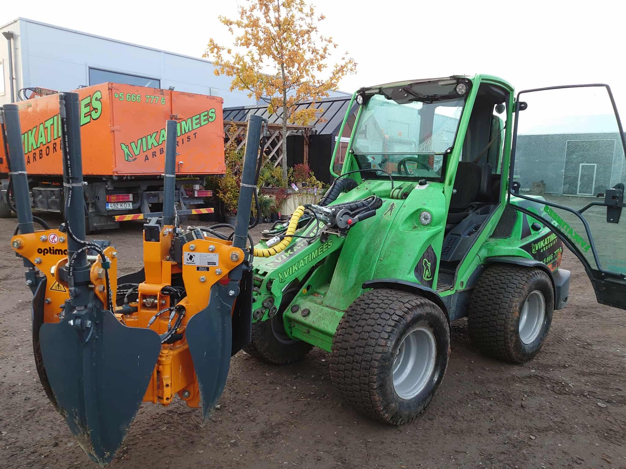 vikatimees avant puude ümberistutamine arborist