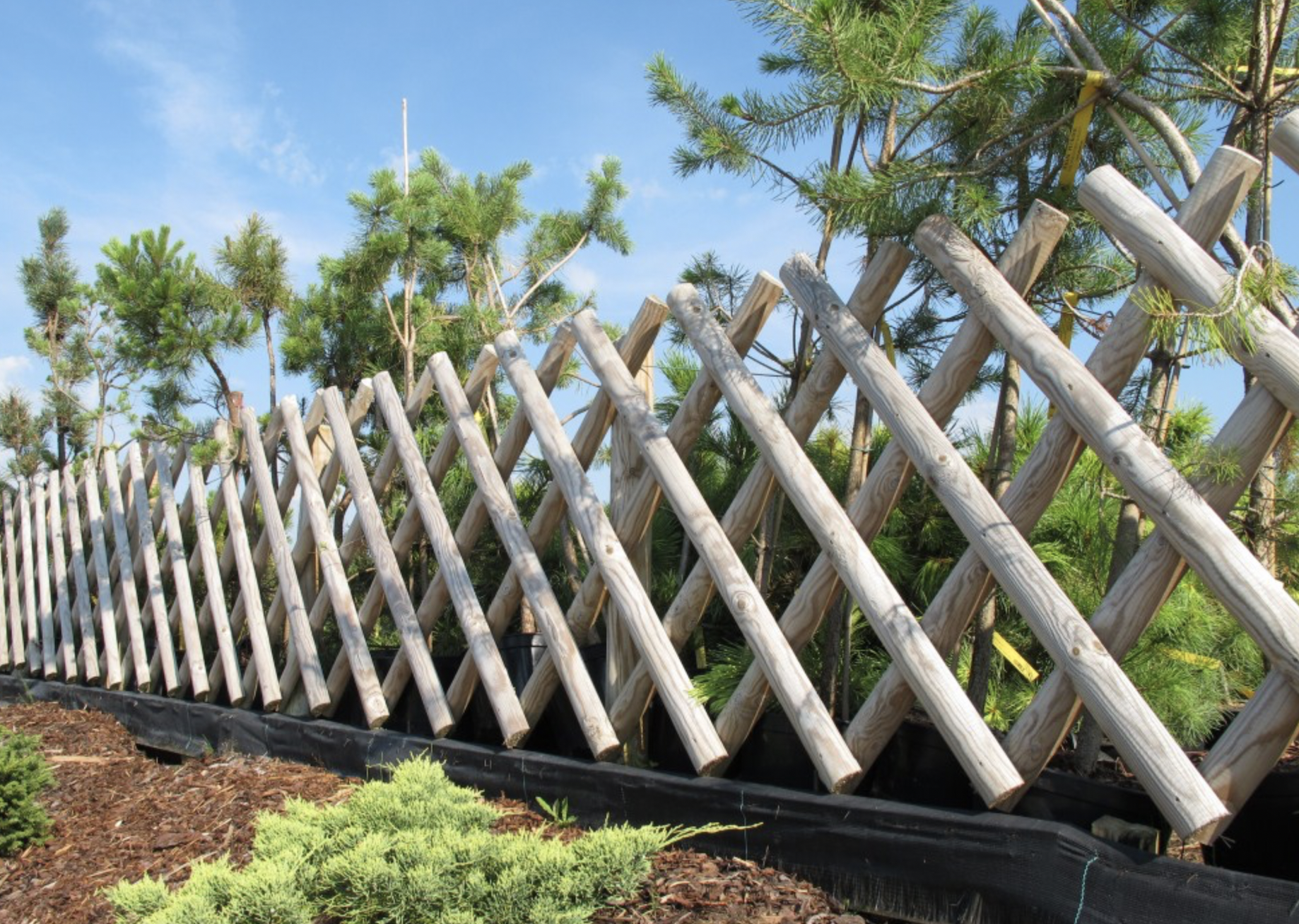 aiapostid vikatimees arborist puude lõikamine