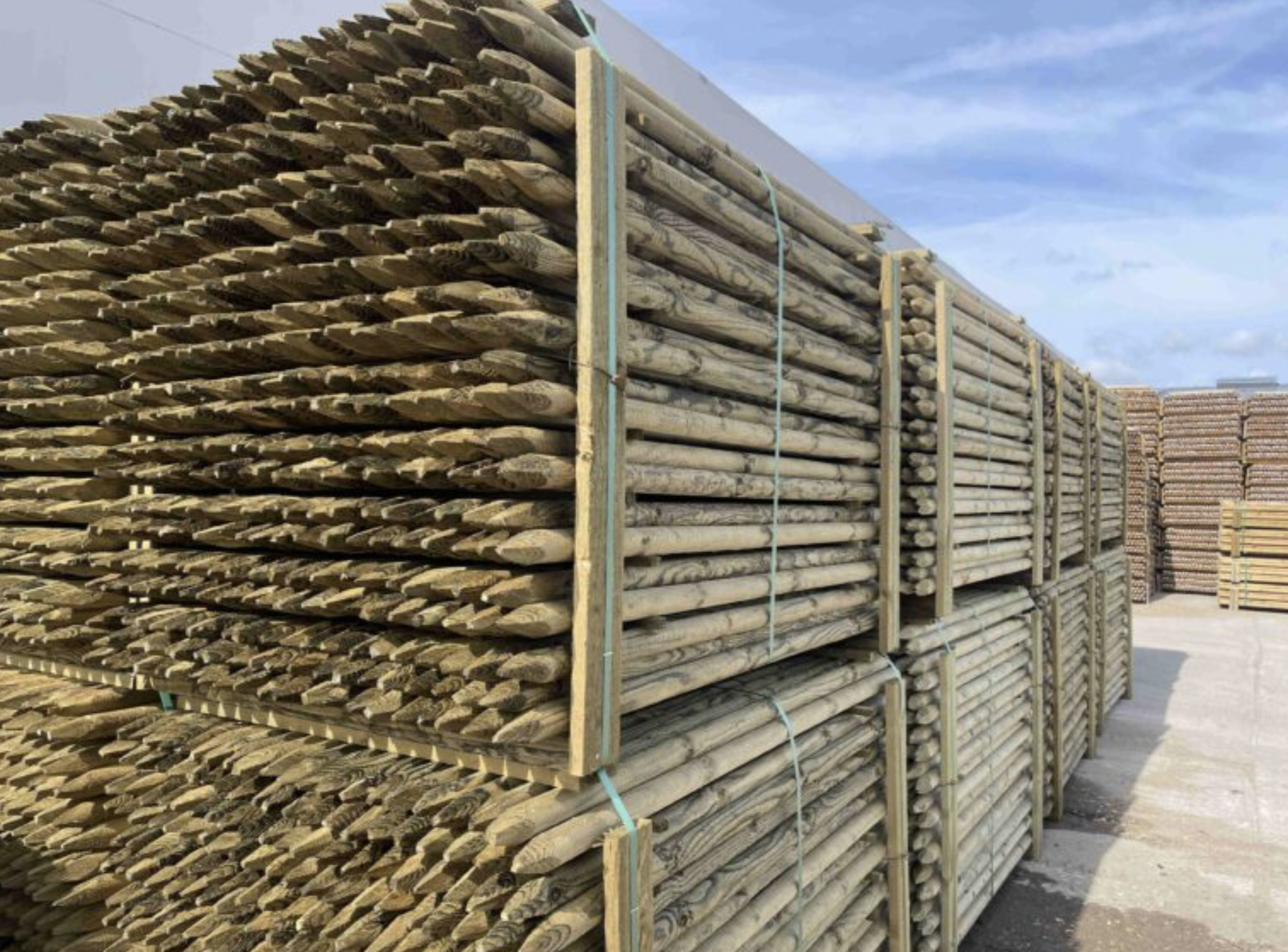 freespostid vikatimees arborist hekkide istutamine antslas