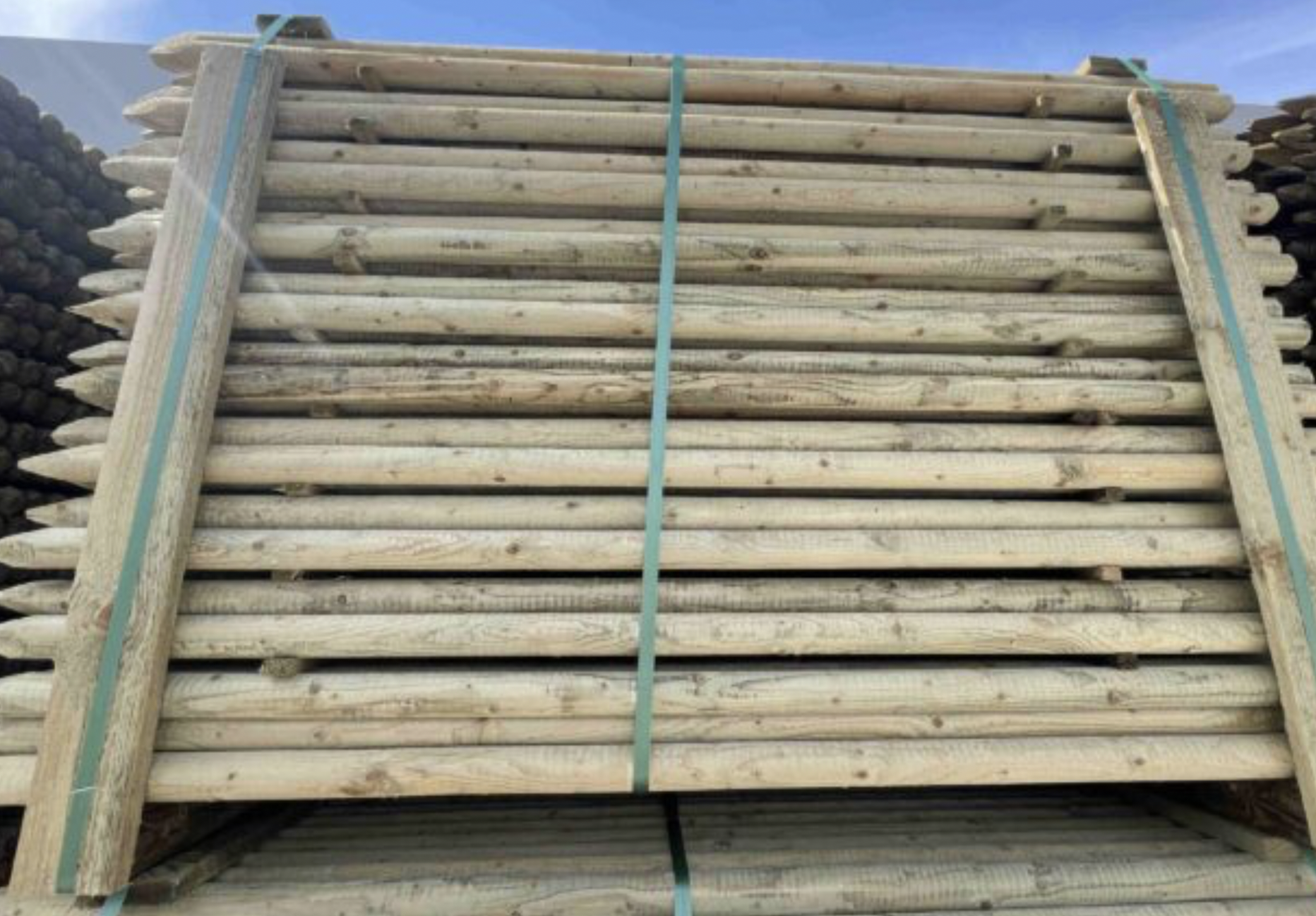 freespostid vikatimees arborist krundi hooldus