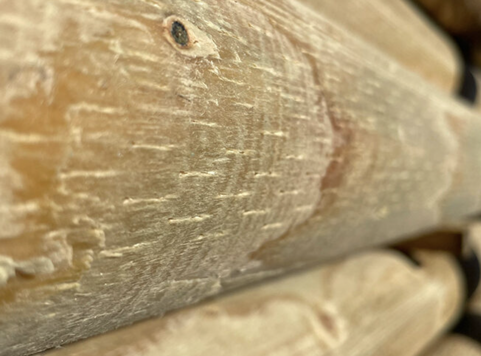 freespostid vikatimees arborist ohtlike puude raie tallinnas