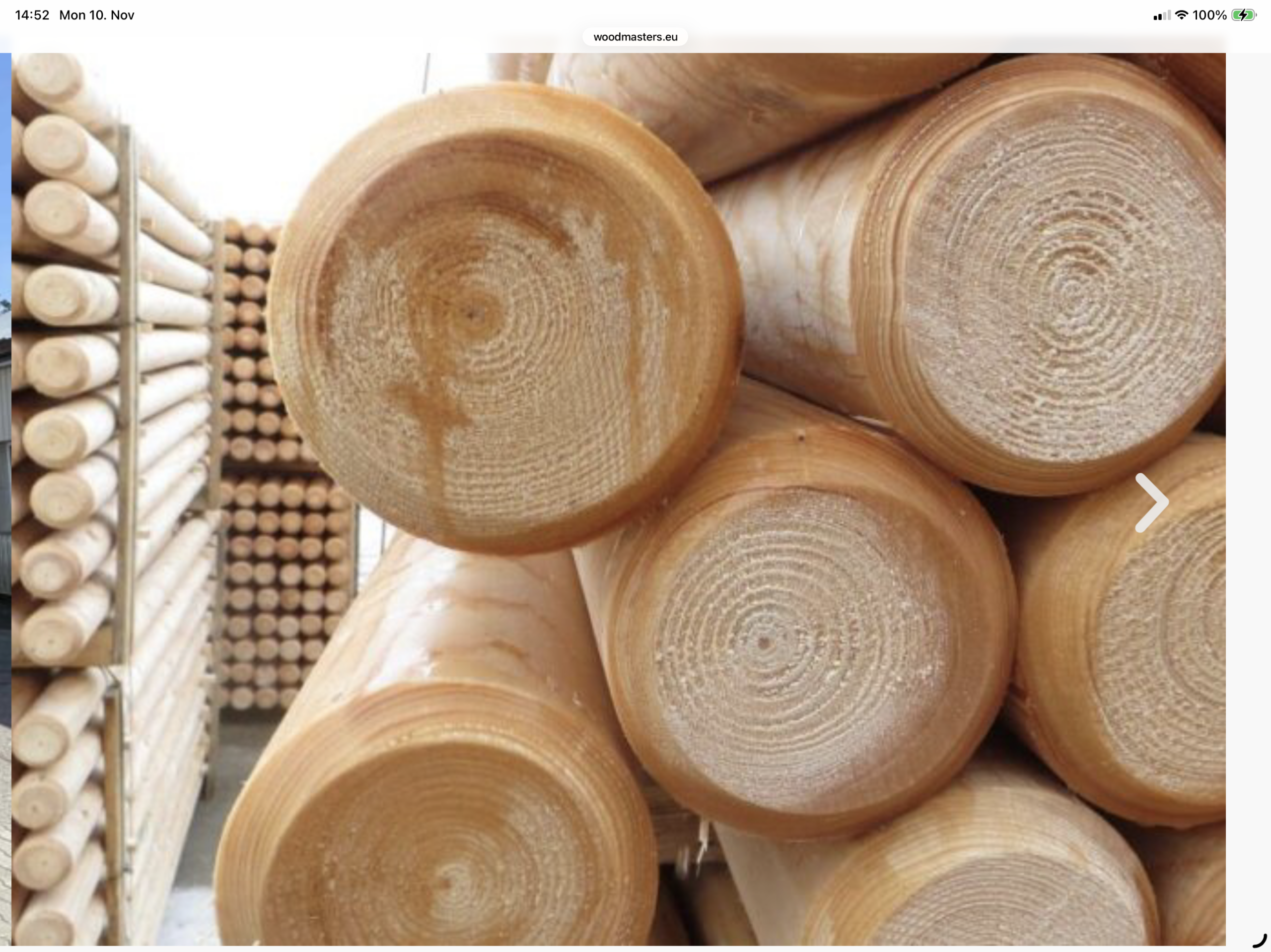 freespostid vikatimees arborist ohtlike puude raie tartus