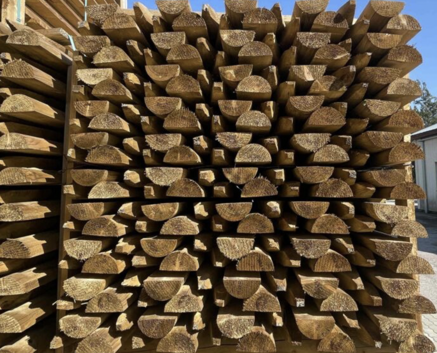 freespostid vikatimees arborist ohtlike puude raie viljandis