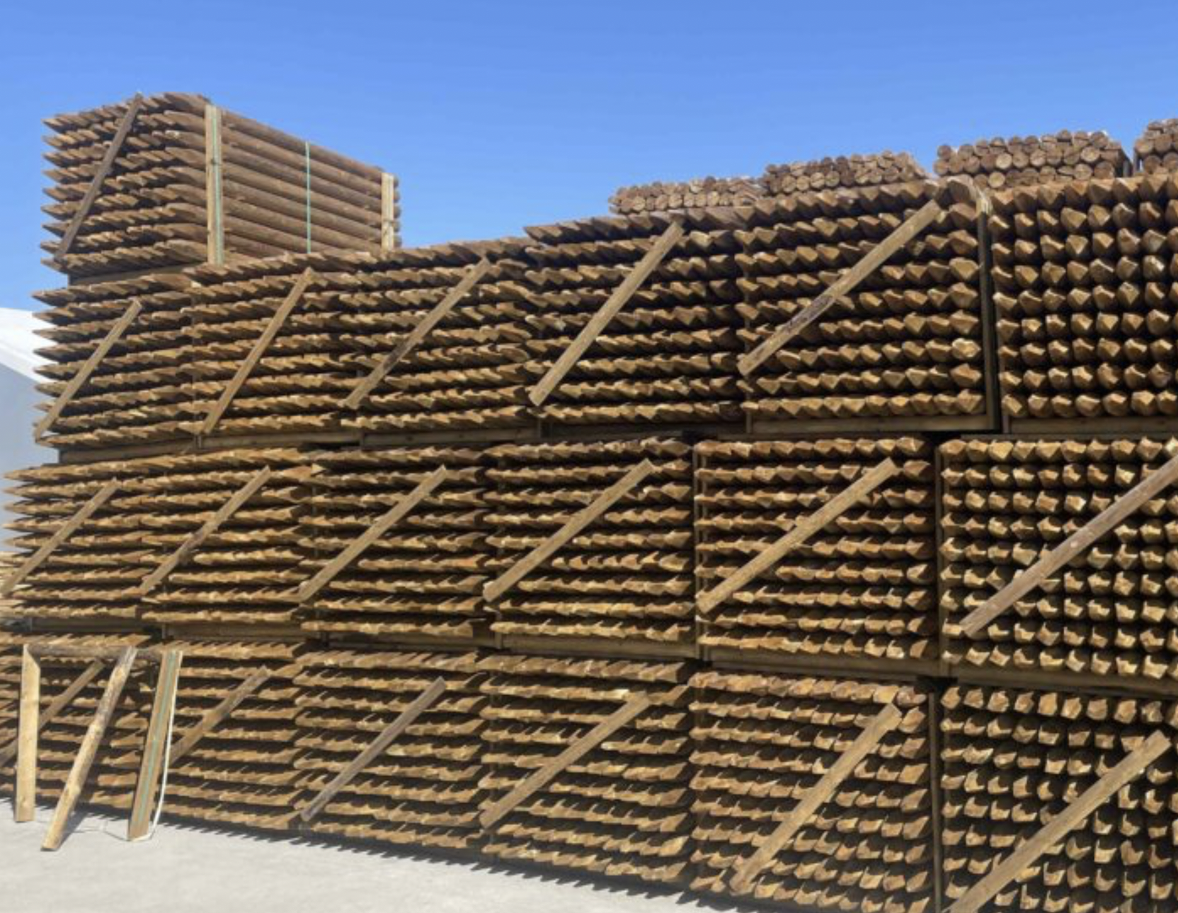 freespostid vikatimees arborist oksapurustaja rent