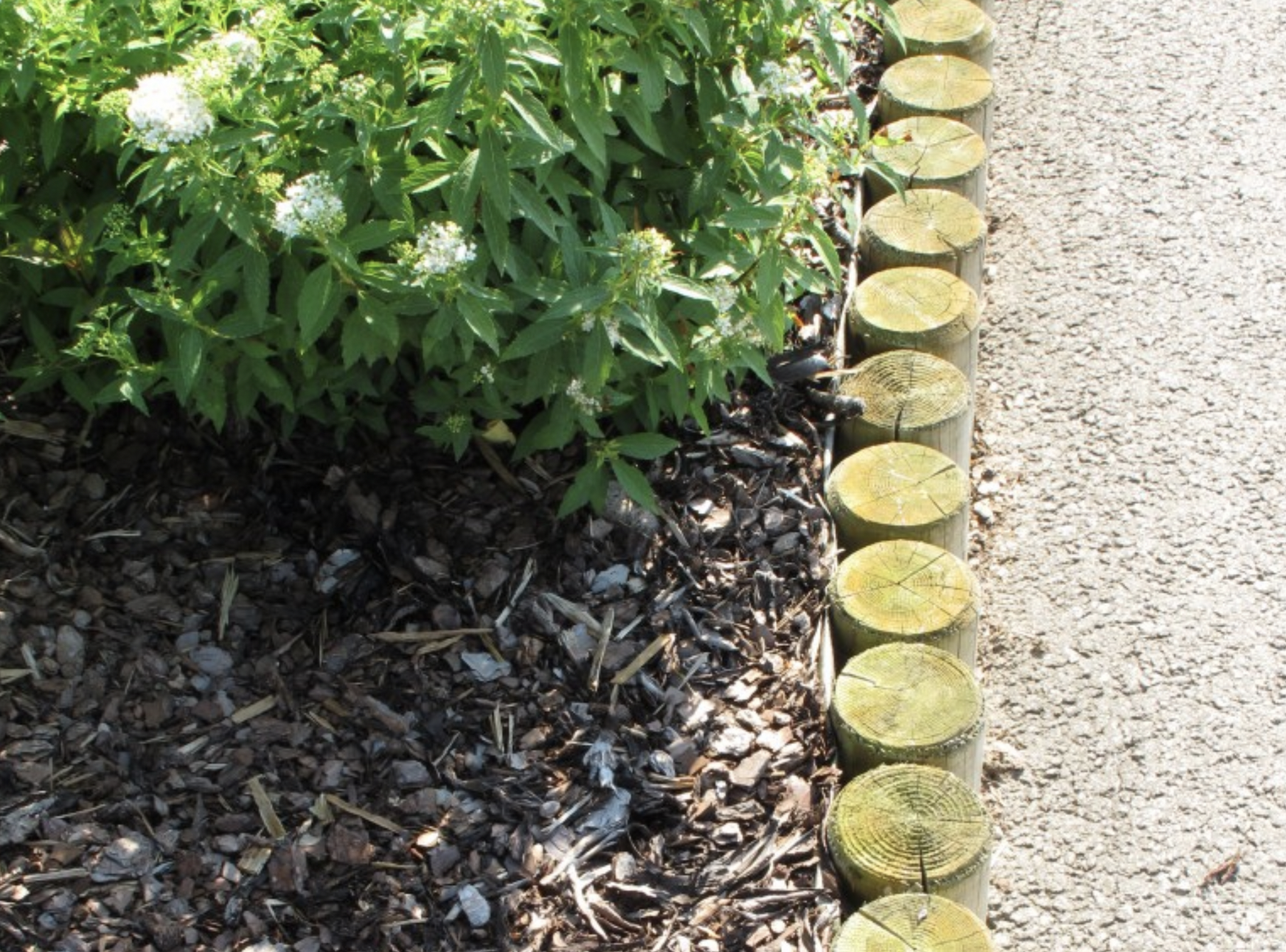 freespostid vikatimees heki lõikamine viljandis