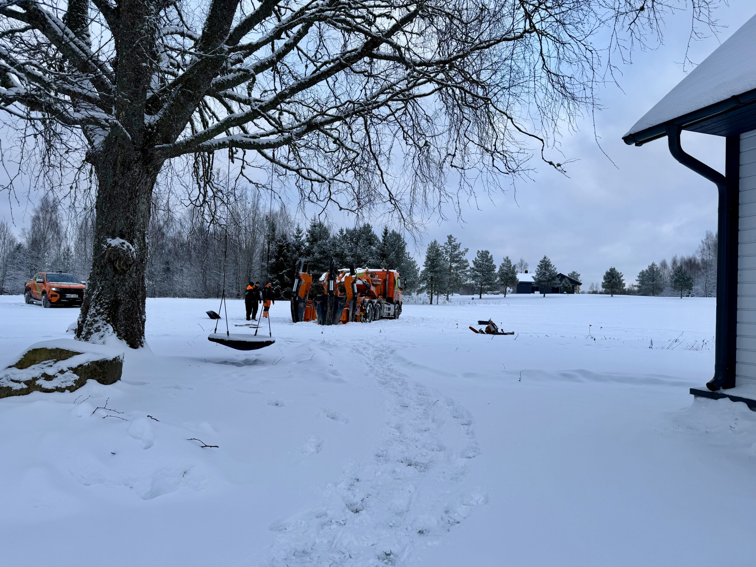 istutaja optimal vikatimee suure puude ümberistutamine tartus