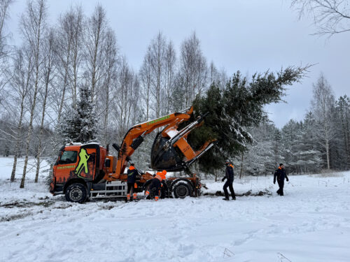 istutaja optimal 2500 vikatimees viljapuu lõikamine