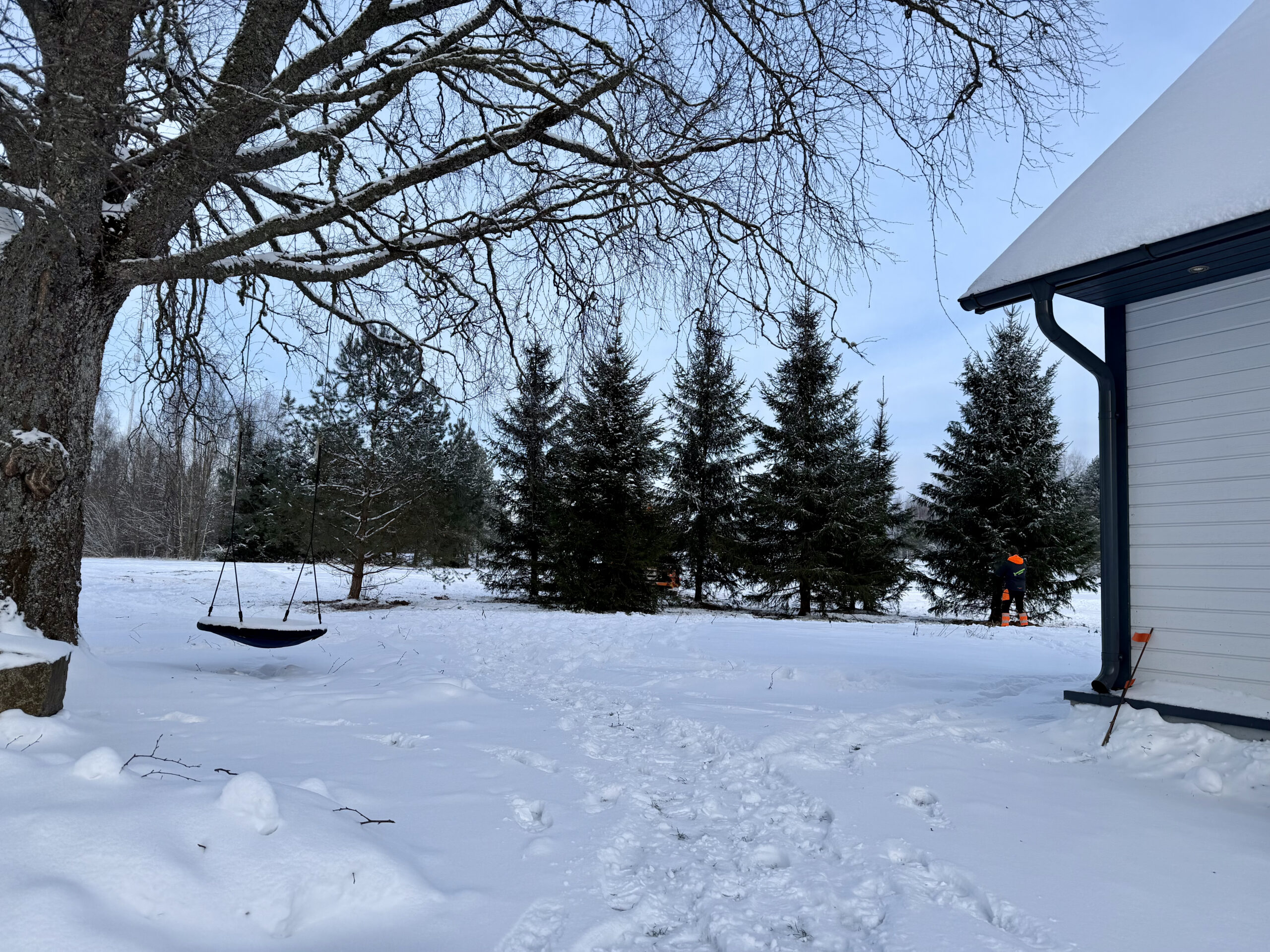 istutaja optimal suurte puude istutaja viljandis